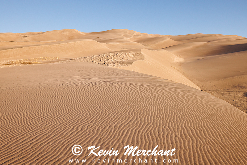 NP_041824_R5-23-FOCUS.jpg