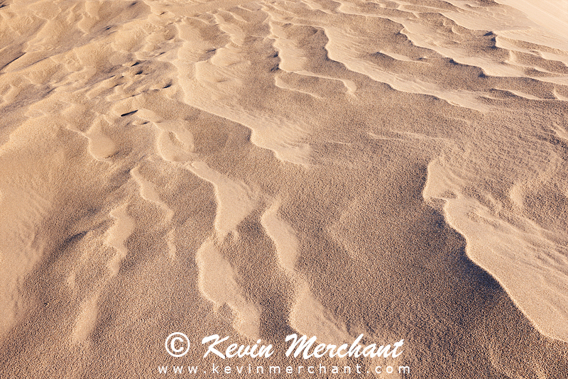 NP_041824_R5-156-FOCUS.jpg