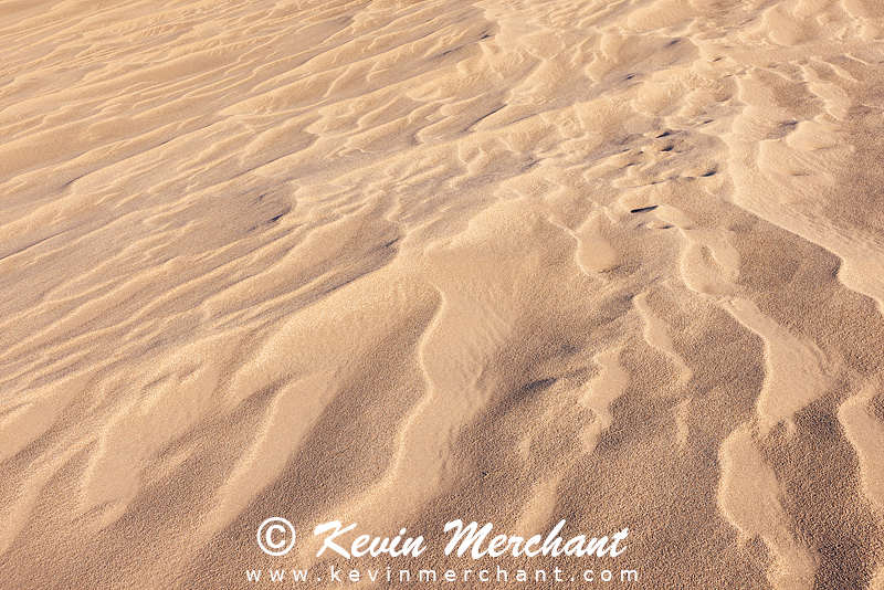 NP_041824_R5-162-FOCUS.jpg