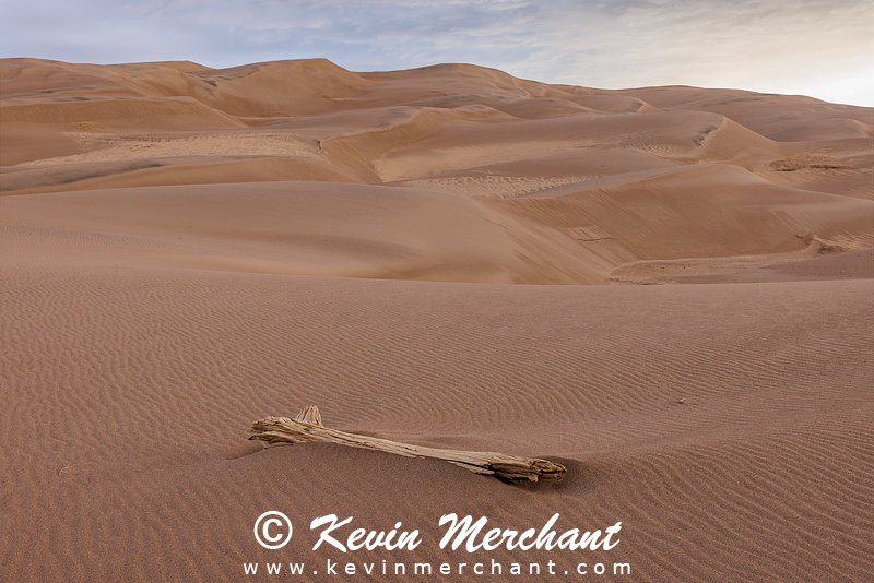 NP_041924_R5-46-FOCUS.jpg