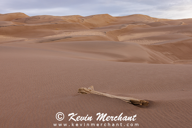 NP_041924_R5-130-FOCUS.jpg