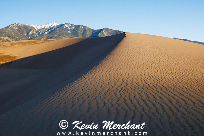 NP_041624_R5-102-FOCUS.jpg