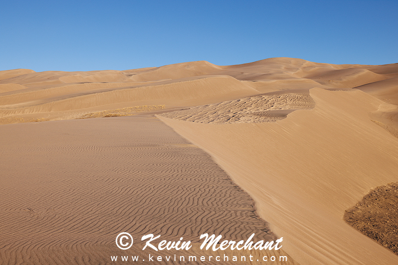 NP_041824_R5-38-FOCUS.jpg