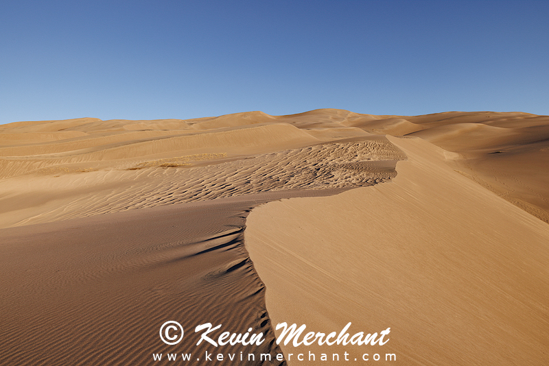 NP_041824_R5-57-FOCUS.jpg