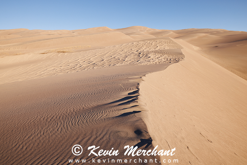NP_041824_R5-79-FOCUS.jpg