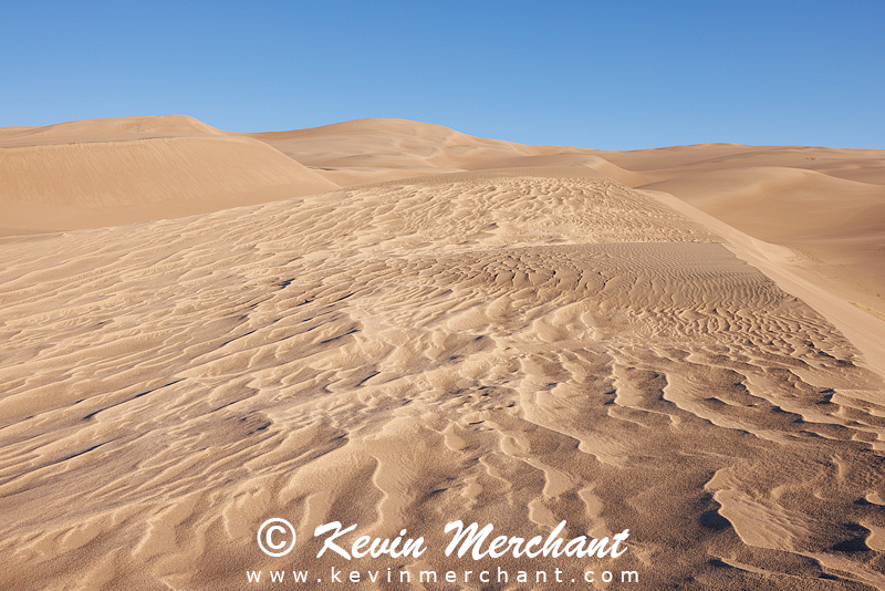 NP_041824_R5-129-FOCUS.jpg