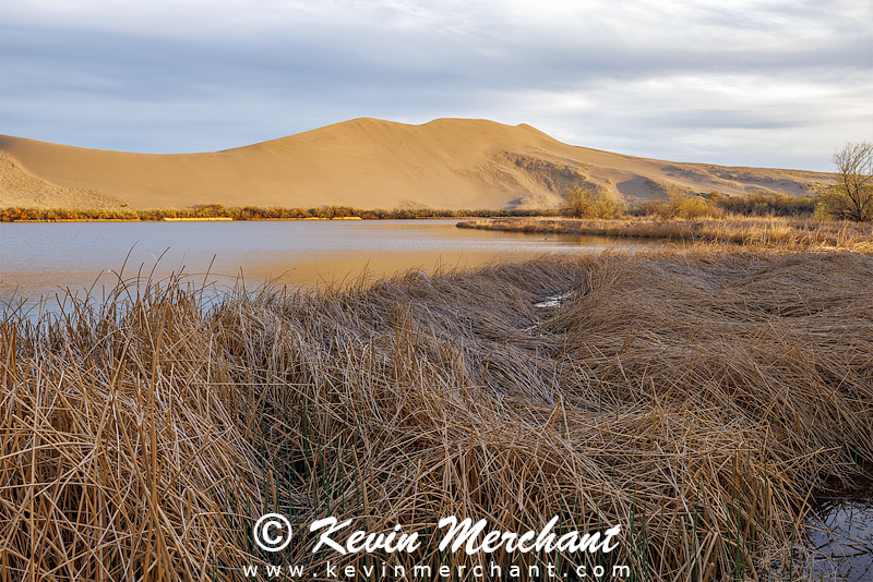 D_042124_R5-4-FOCUS.jpg