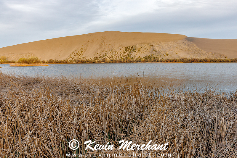 D_042124_R5-22-FOCUS.jpg