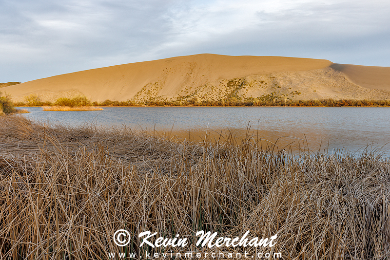 D_042124_R5-28-FOCUS.jpg