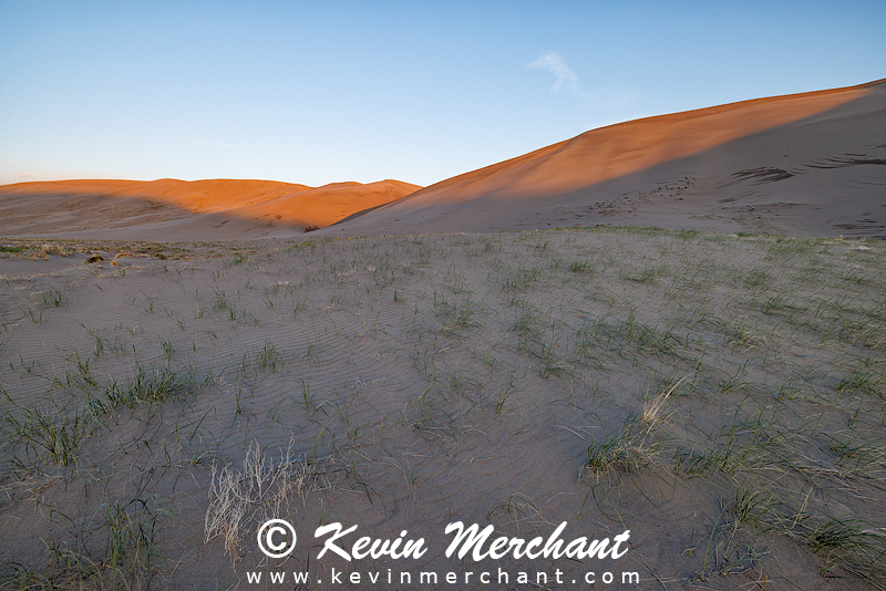 D_042324_R5-2-FOCUS.jpg