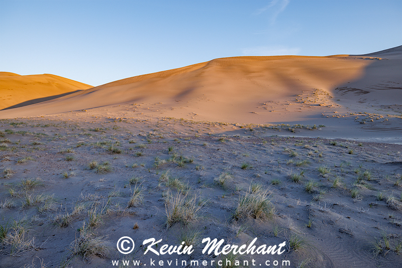 D_042324_R5-23-FOCUS.jpg