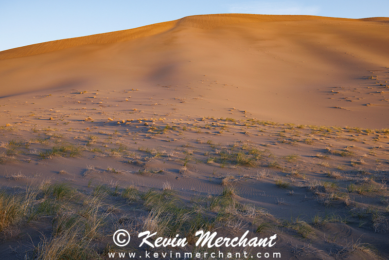 D_042324_R5-32-FOCUS.jpg
