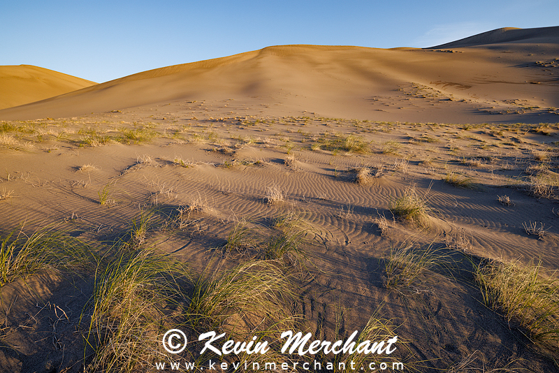 D_042324_R5-89-FOCUS.jpg