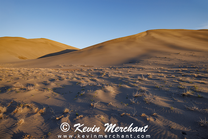 D_042324_R5-93-FOCUS.jpg