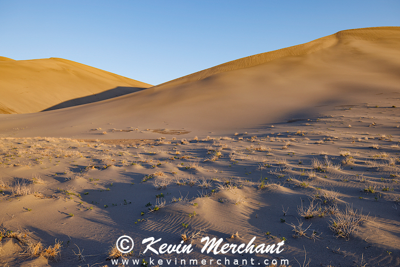 D_042324_R5-96-FOCUS.jpg