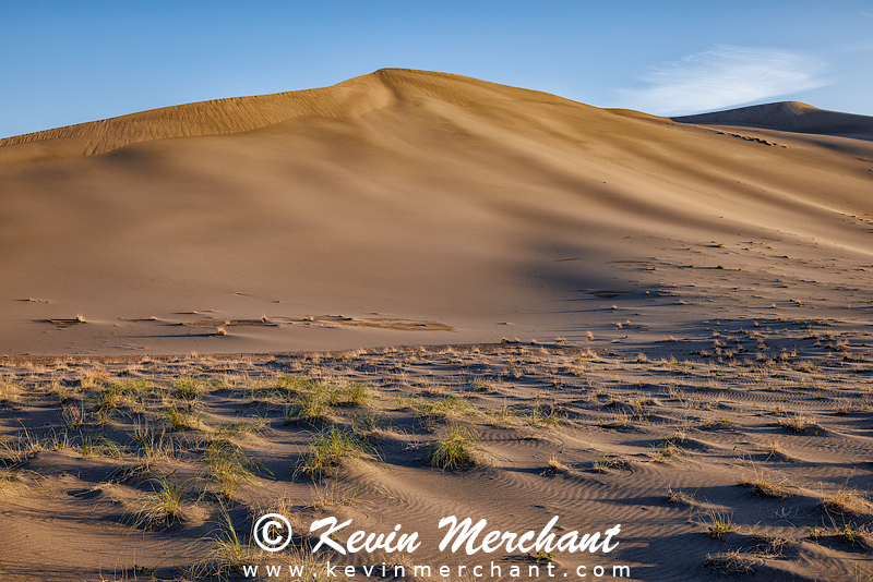 D_042324_R5-104-FOCUS.jpg
