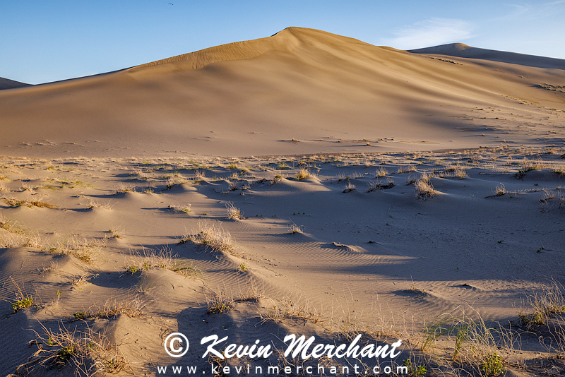 D_042324_R5-108-FOCUS.jpg