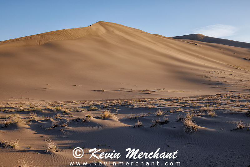 D_042324_R5-124-FOCUS.jpg