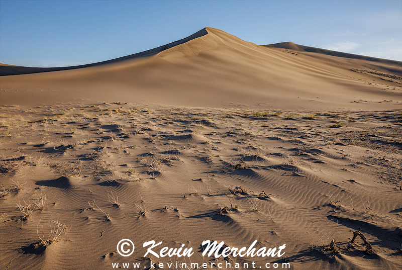 D_042324_R5-133-FOCUS.jpg