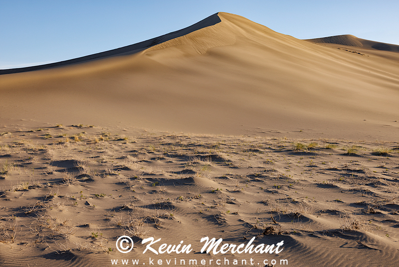 D_042324_R5-136-FOCUS.jpg