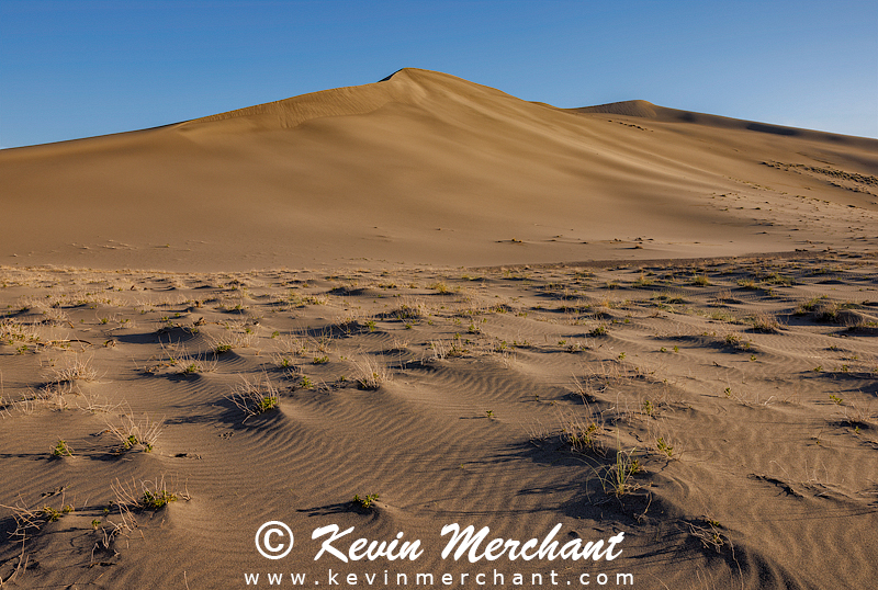 D_042324_R5-154-FOCUS.jpg