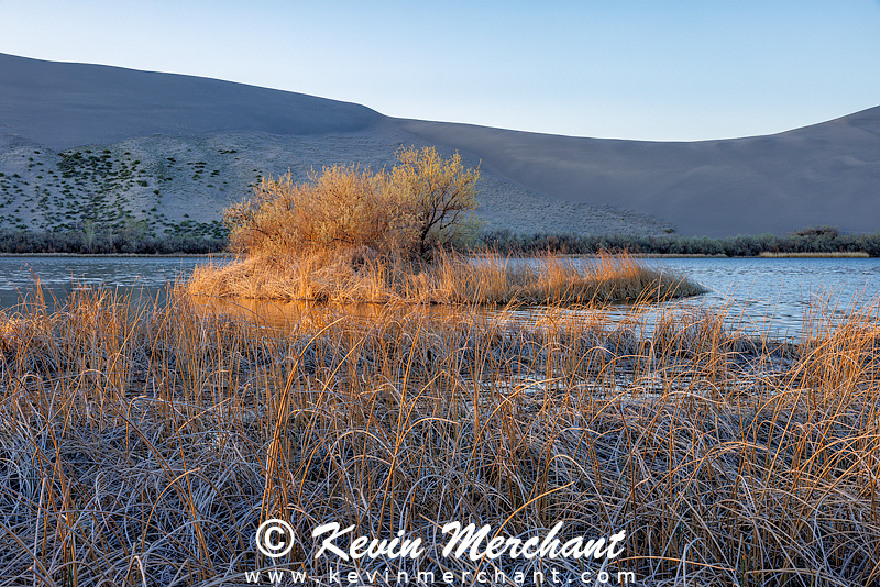 LK_042224_R5-70-FOCUS.jpg