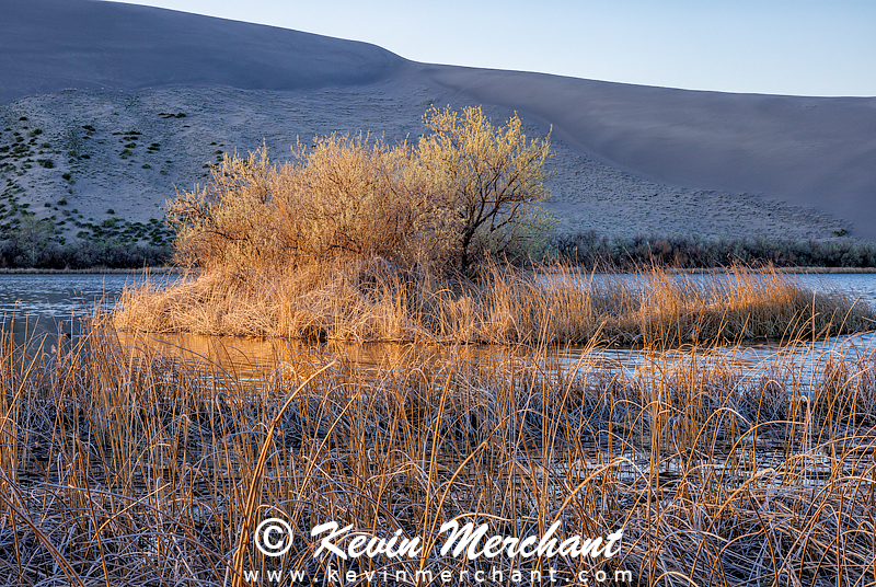 LK_042224_R5-93-FOCUS.jpg