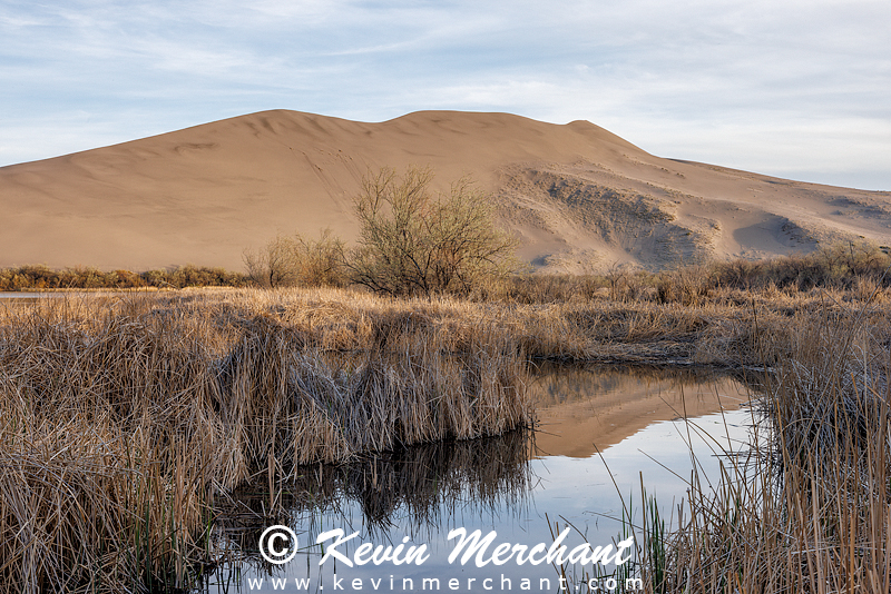 LK_042224_R5-222.jpg