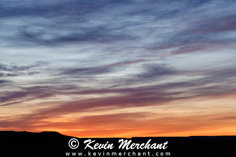SK_042124_R5-1.jpg