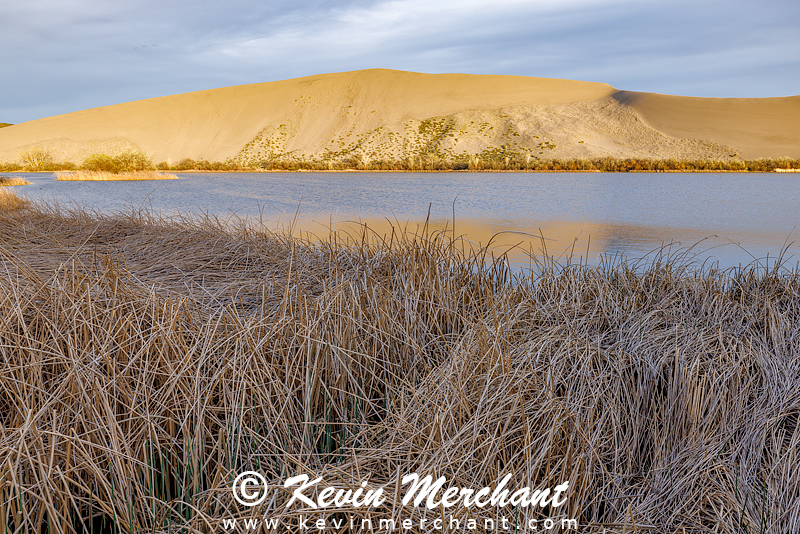 D_042124_R5-13-FOCUS.jpg