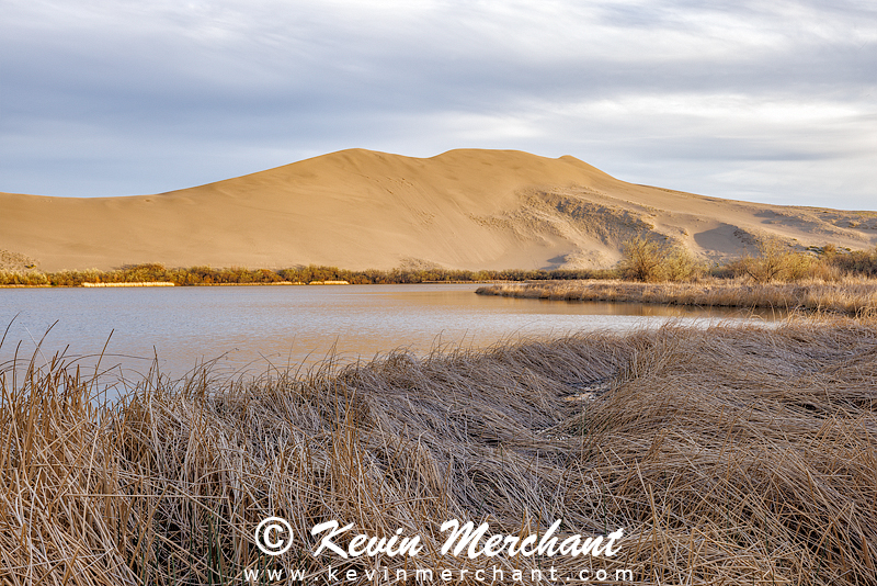 D_042124_R5-16-FOCUS.jpg