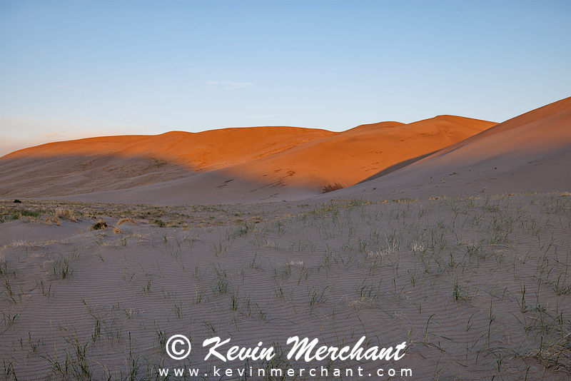 D_042324_R5-5-FOCUS.jpg