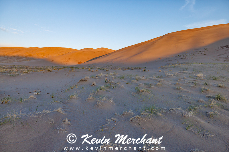 D_042324_R5-14-FOCUS.jpg