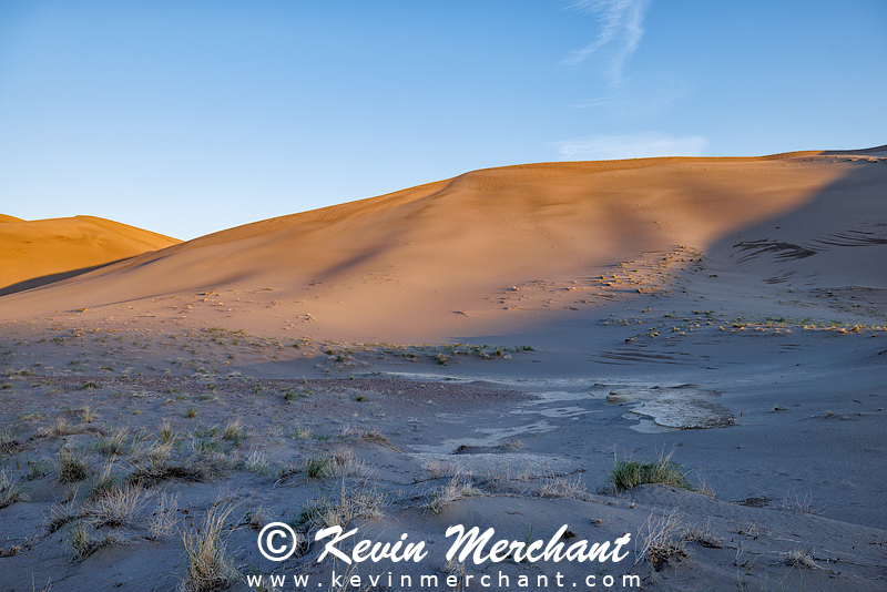 D_042324_R5-20-FOCUS.jpg