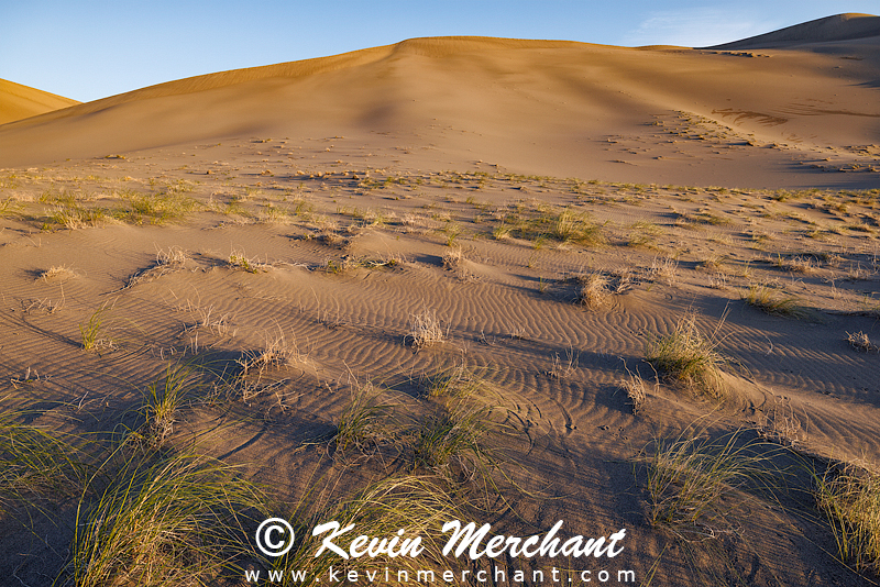 D_042324_R5-82-FOCUS.jpg