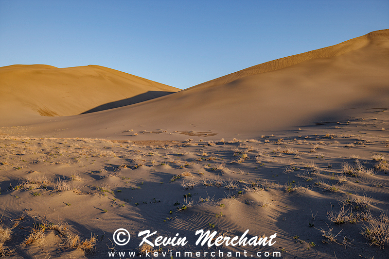 D_042324_R5-99-FOCUS.jpg