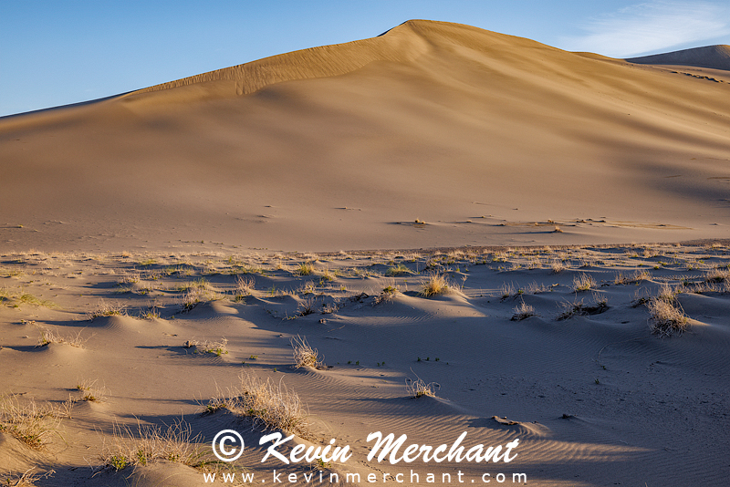 D_042324_R5-106-FOCUS.jpg