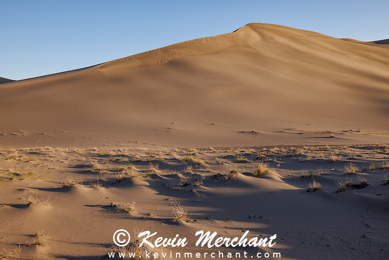 D_042324_R5-122-FOCUS.jpg