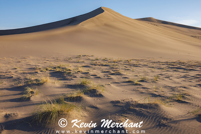 D_042324_R5-142-FOCUS.jpg