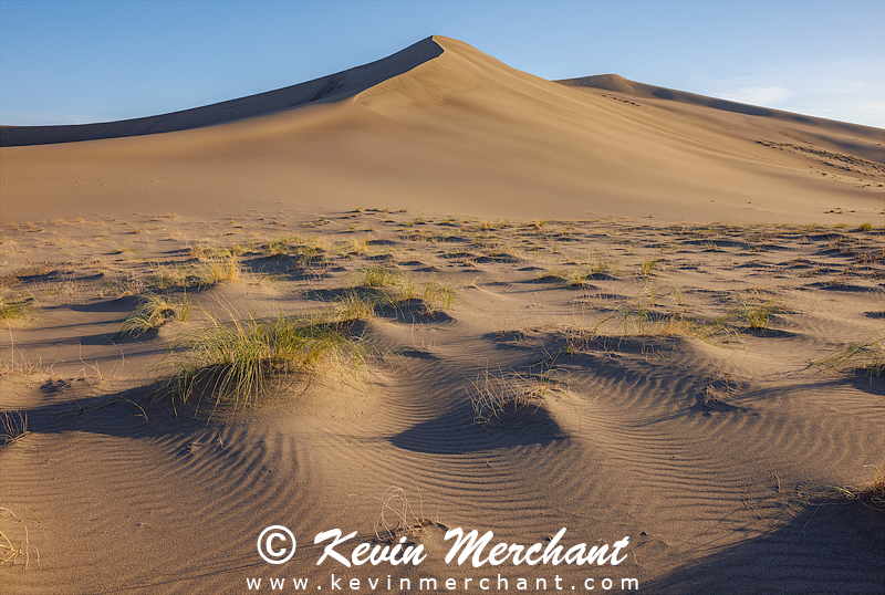 D_042324_R5-145-FOCUS.jpg