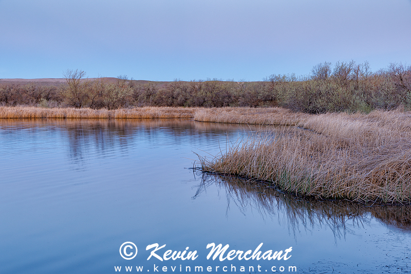 LK_042224_R5-8-FOCUS.jpg