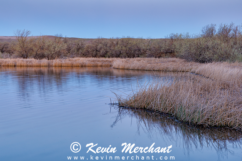 LK_042224_R5-11-FOCUS.jpg