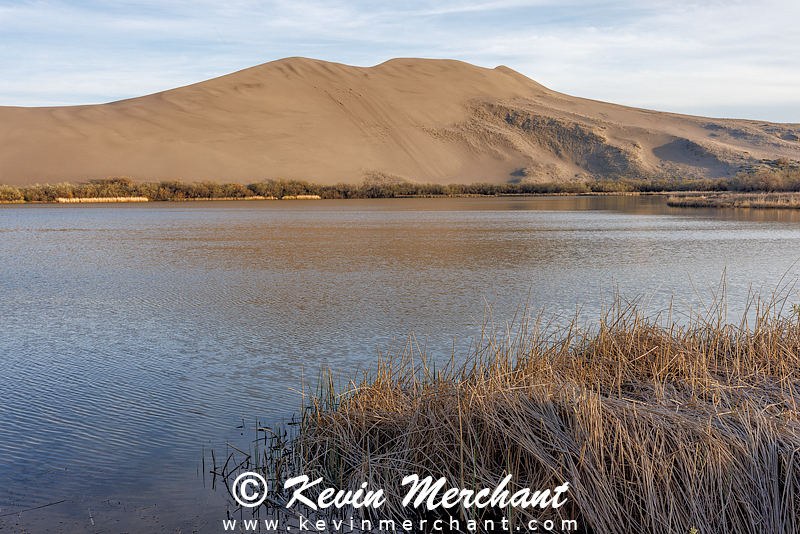 LK_042224_R5-200-FOCUS.jpg