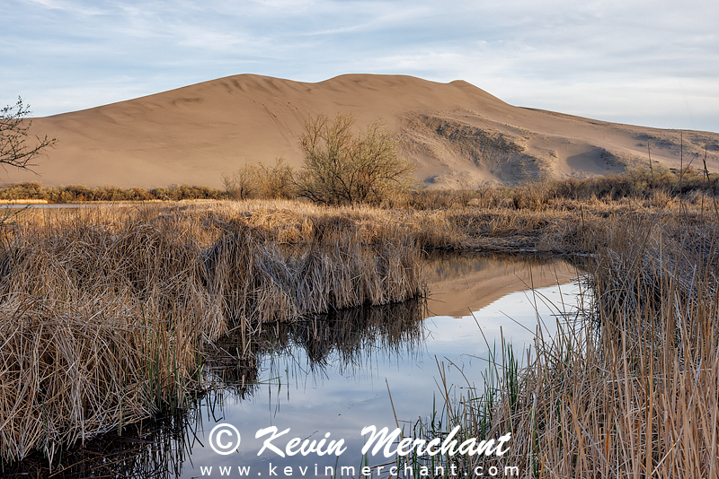 LK_042224_R5-216.jpg