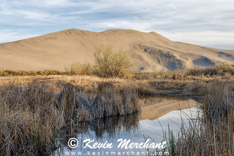 LK_042224_R5-228.jpg