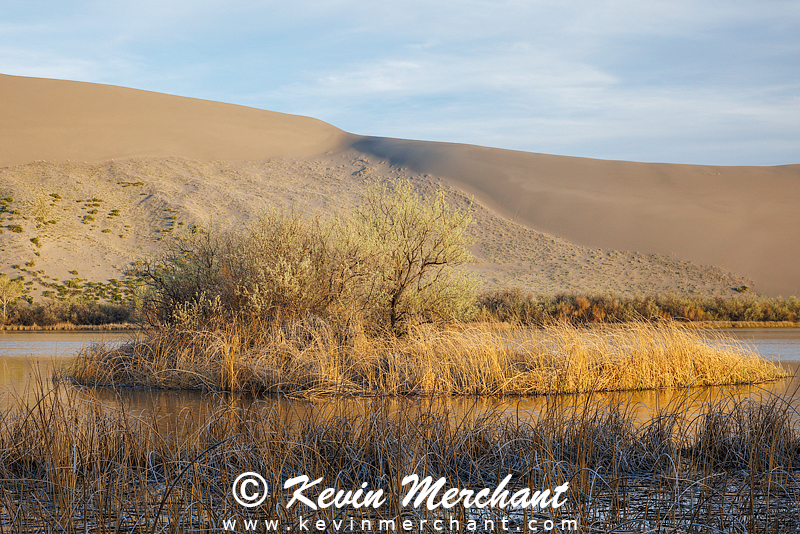 LK_042224_R5-254.jpg
