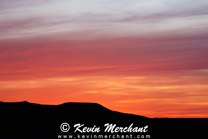 SK_042224_R5-8.jpg