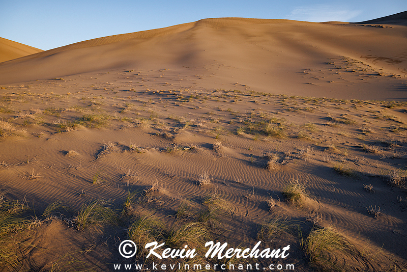 Sand dunes at sunrise