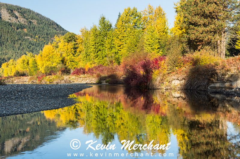Fall color on Nason Creek