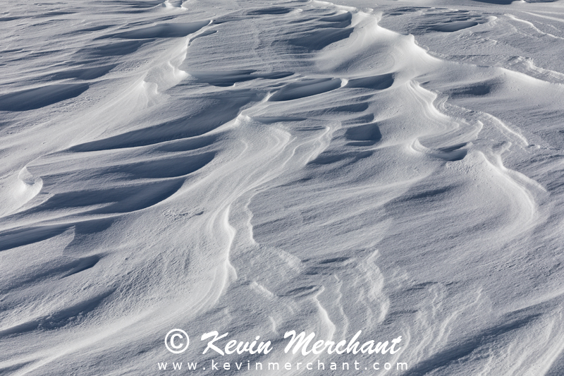 Wind sculpted pattern in snow